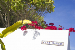 Casa Mango